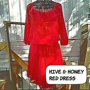 Hive & Honey XS sexy see through red dress